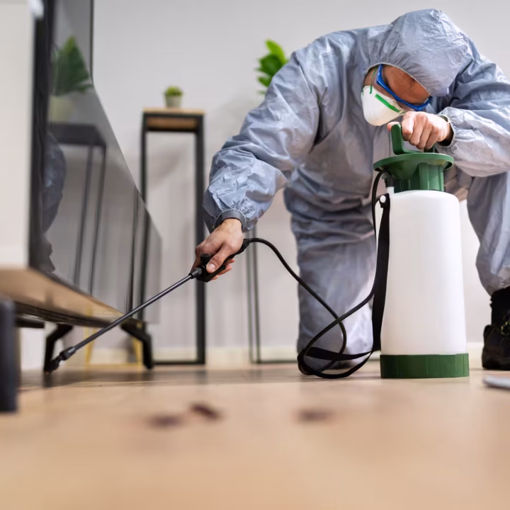 Professional kneeling to apply pesticide along a wall and furniture base, a standard procedure in Pest control in Morgan Hill.